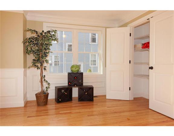 23 Mott Street, Unit 1 Arlington, MA 02474 - Photo 11 of 28 a living room with furniture and a potted plant