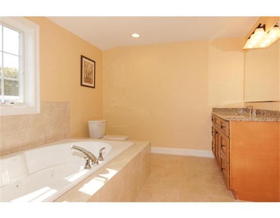 23 Mott Street, Unit 1 Arlington, MA 02474 - Photo 23 of 28 a bathroom with a sink a bath tub and a shower