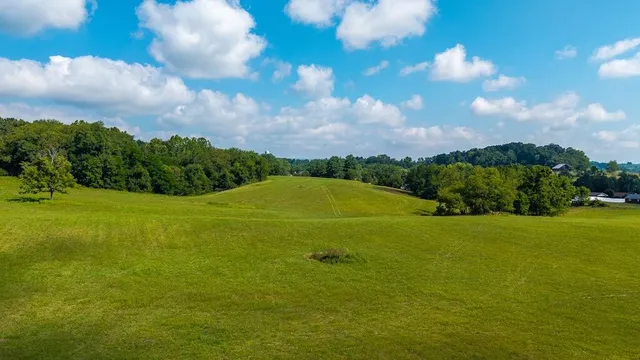 a view of a field with plants and trees in the background