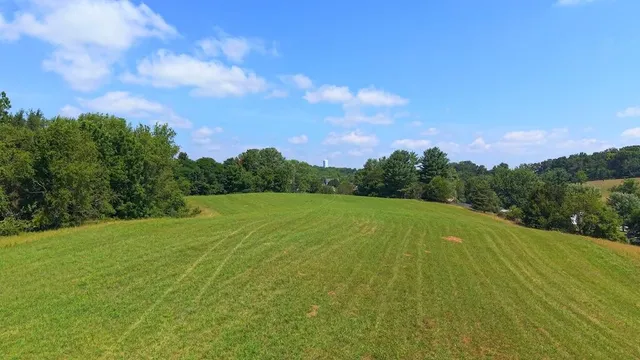a view of a big yard with lots of green space and trampoline