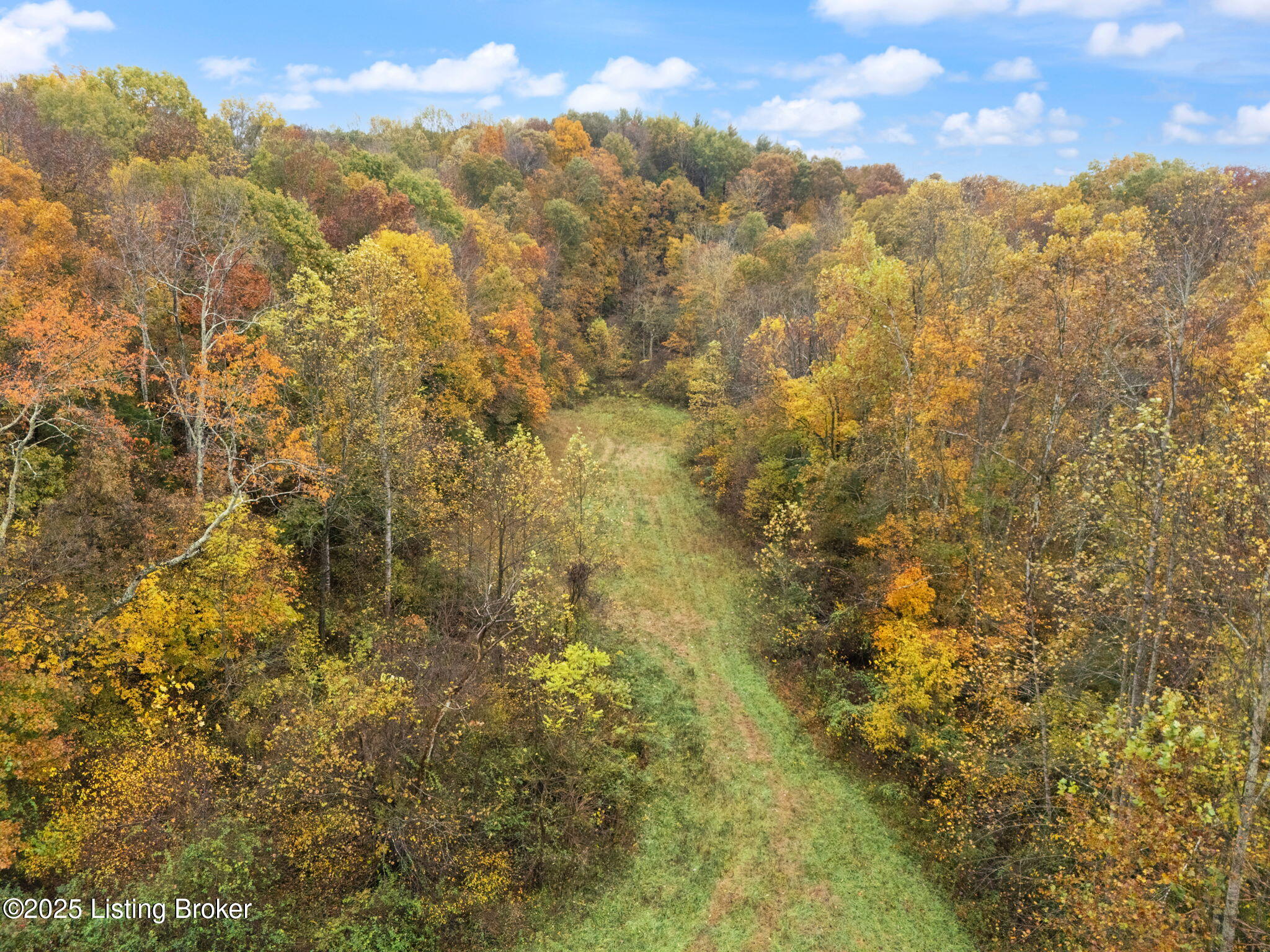 2257 Doc Ward Road Summersville, KY 42782 - Photo 46 of 60 76-web-or-mls-DJI_20251030110210_0081_D