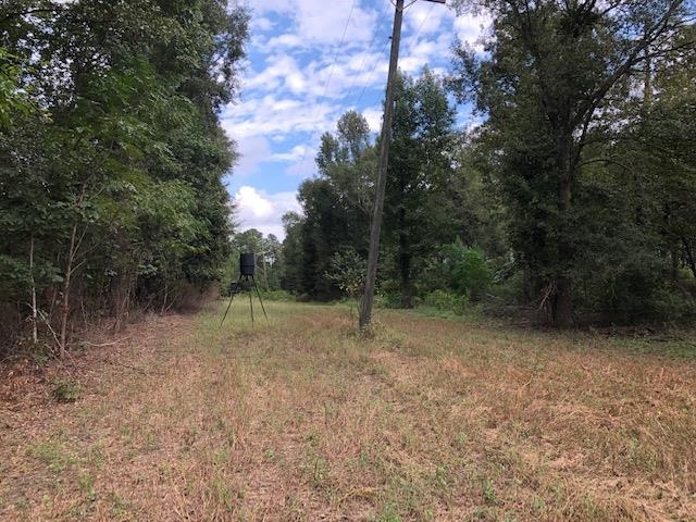 0 Barlow Road Cochran, GA 31014 - Photo 15 of 21