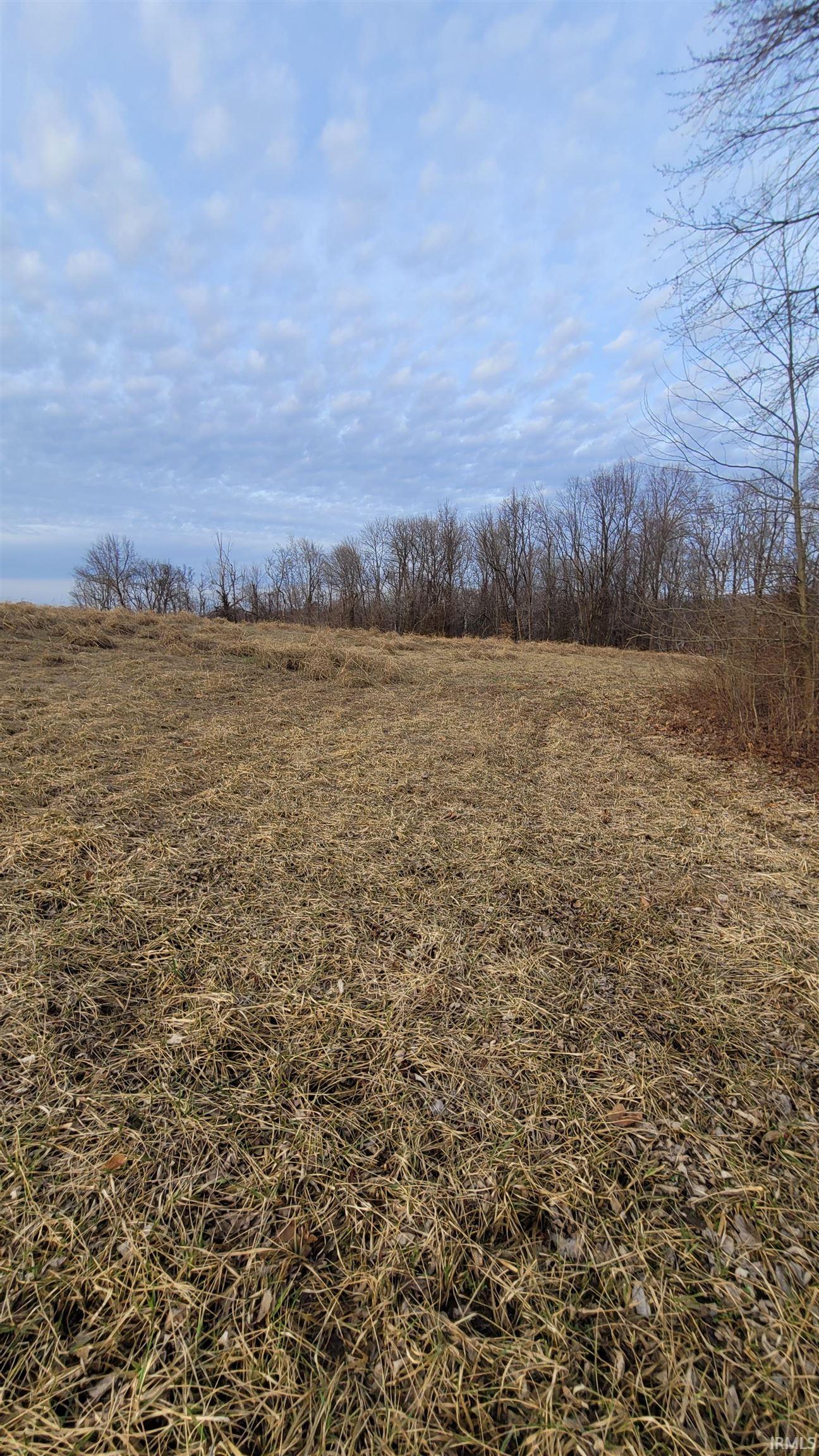 0 Denzer Road Evansville, IN 47713 - Photo 3 of 7