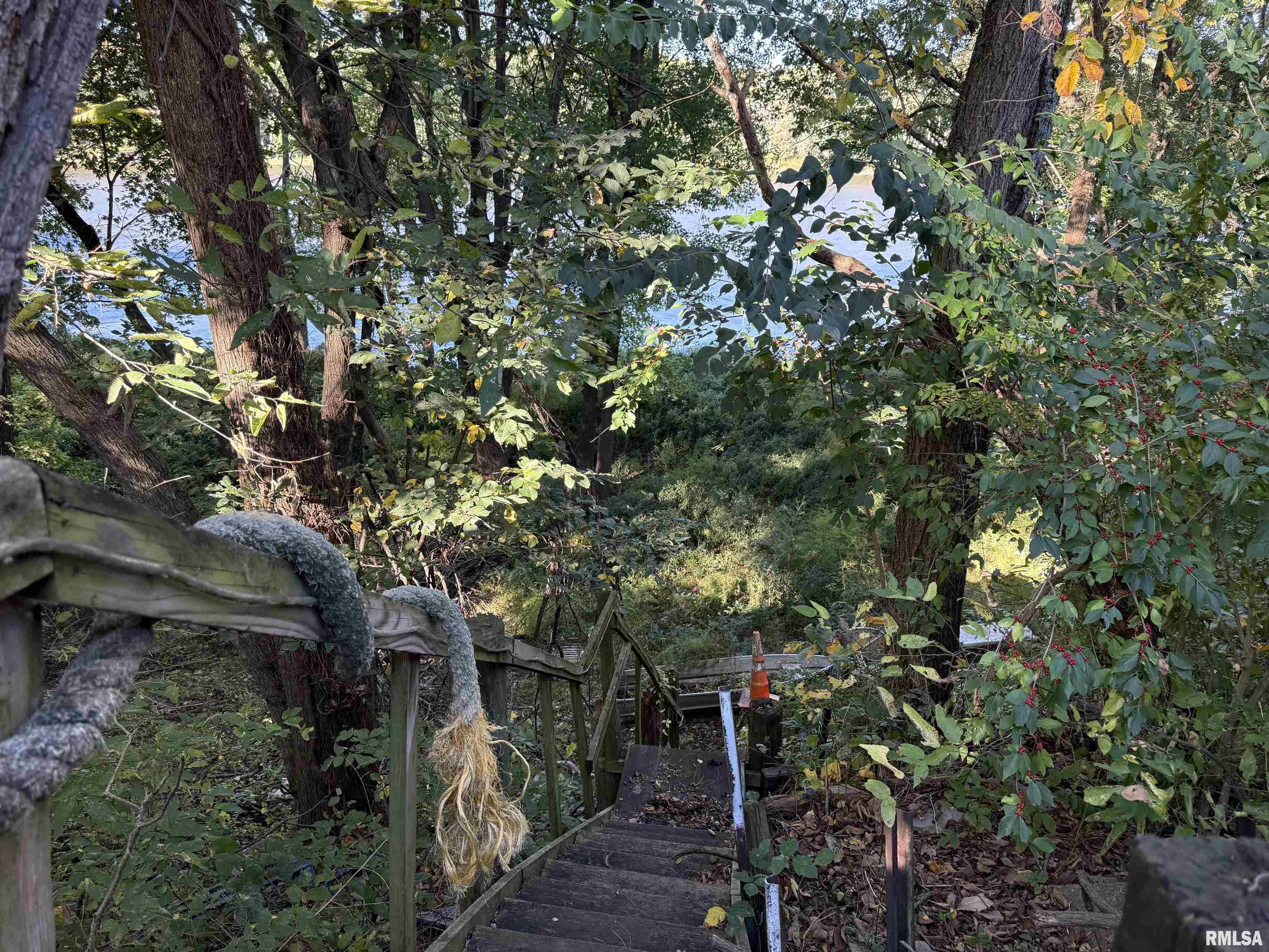 20 Willits Lane Keithsburg, IL 61442 - Photo 5 of 14