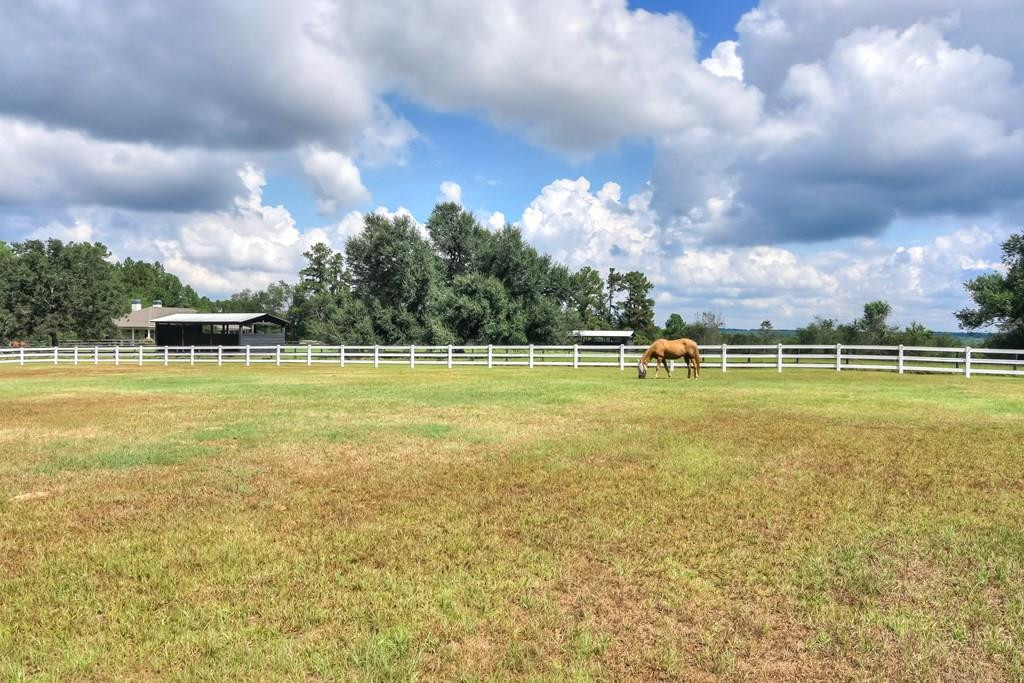 295 Fox Pond Road Aiken, SC 29801 - Photo 50 of 53
