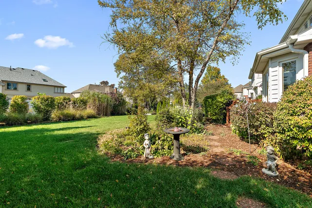 a view of a lush green space