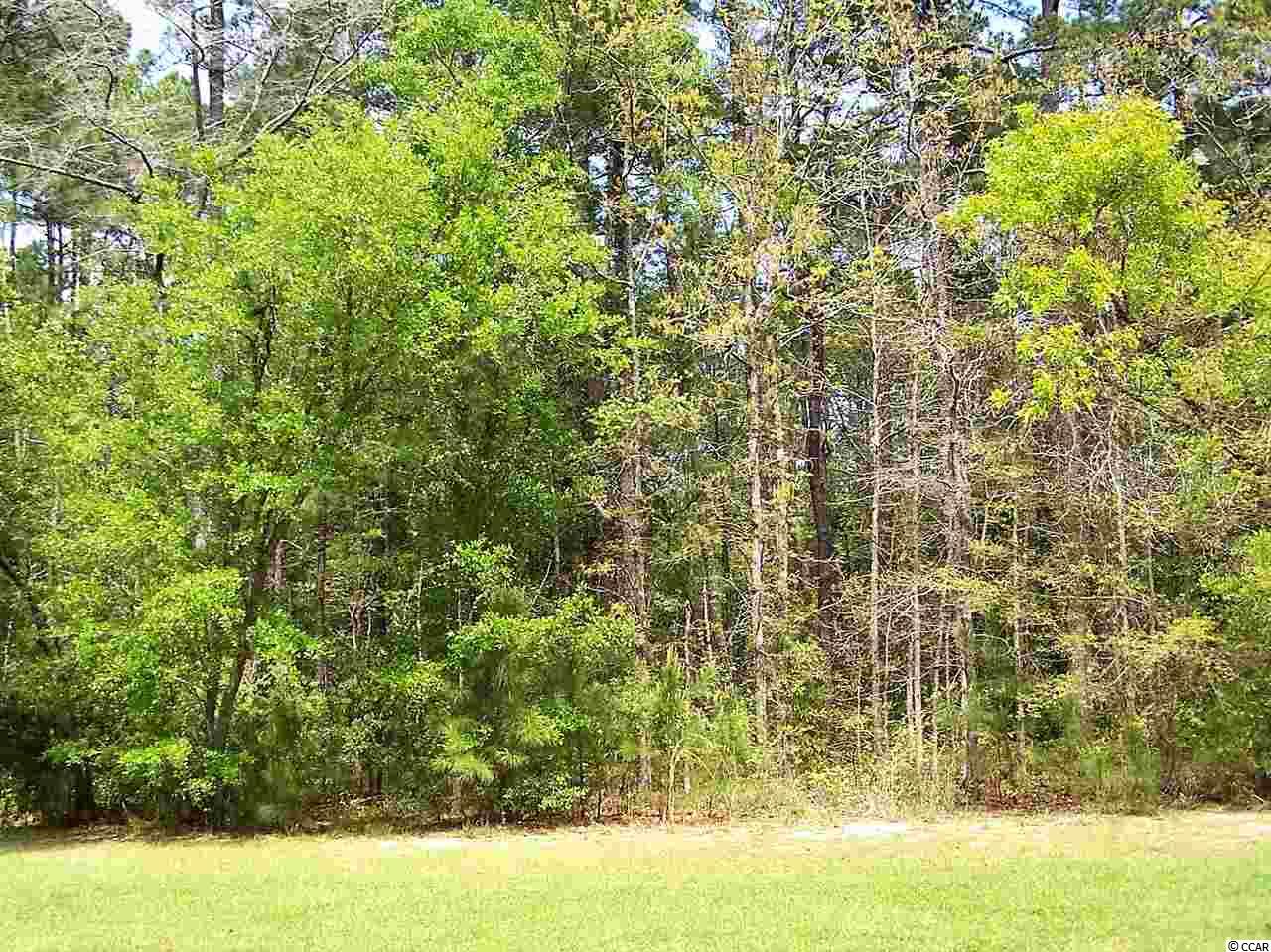 Tbd Trestle Way Conway, SC 29526 - Photo 2 of 5 Gallery Image 2