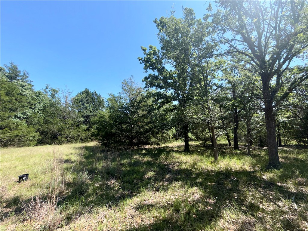 545 Cranberry Road Somerville, TX 77879 - Photo 14 of 19