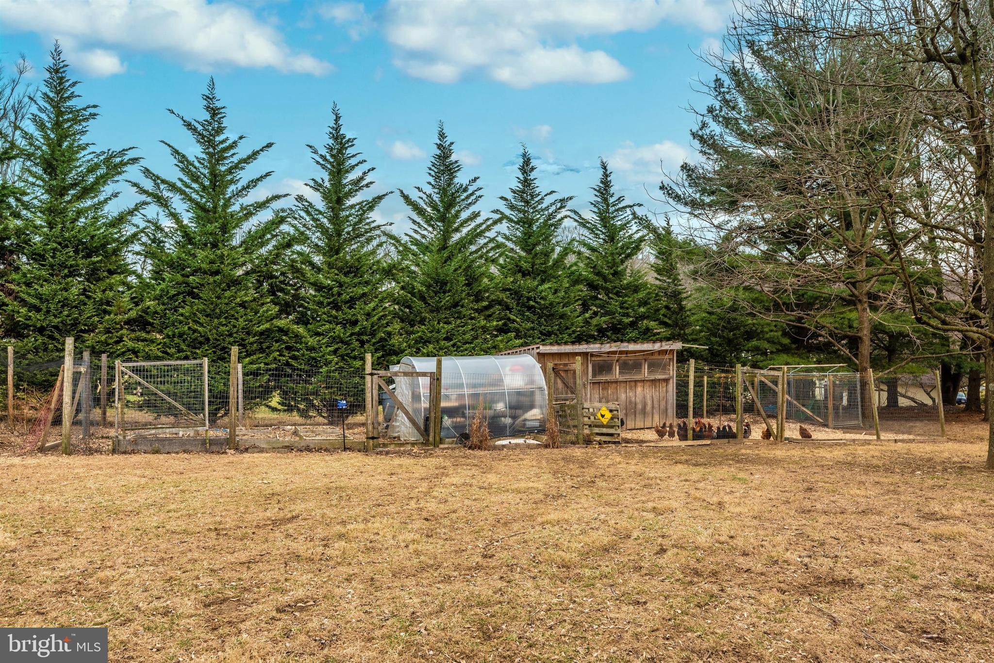 6541 South Clifton Road Frederick, MD 21703 - Photo 43 of 50 Greenhouse & Shed
