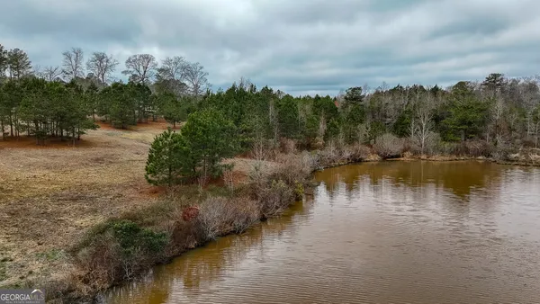a view of a lake in middle of forest