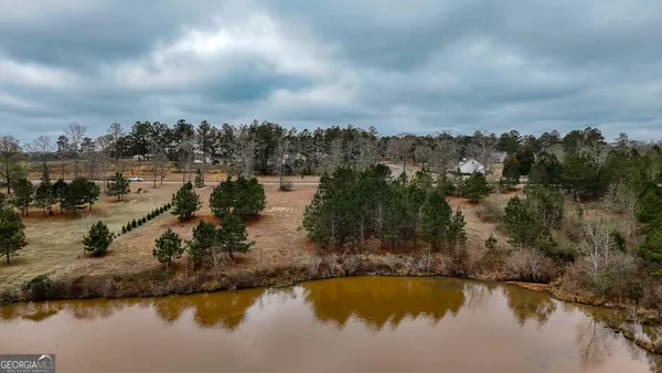 a view of a lake in middle of forest