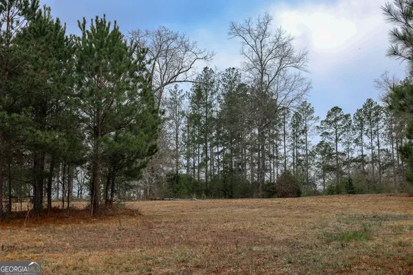 a big yard with trees in the background