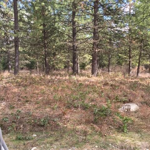 Xxx Kirkpatrick Road Elk, WA 99009 - Photo 1 of 4