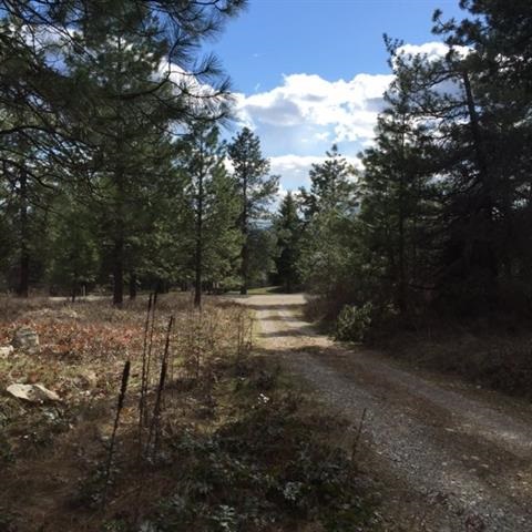 Xxx Kirkpatrick Road Elk, WA 99009 - Photo 2 of 4