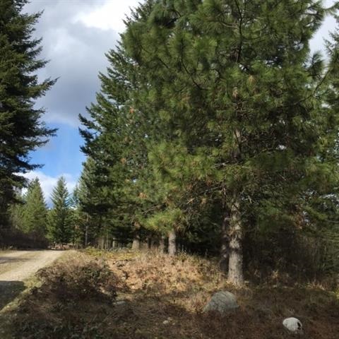 Xxx Kirkpatrick Road Elk, WA 99009 - Photo 3 of 4