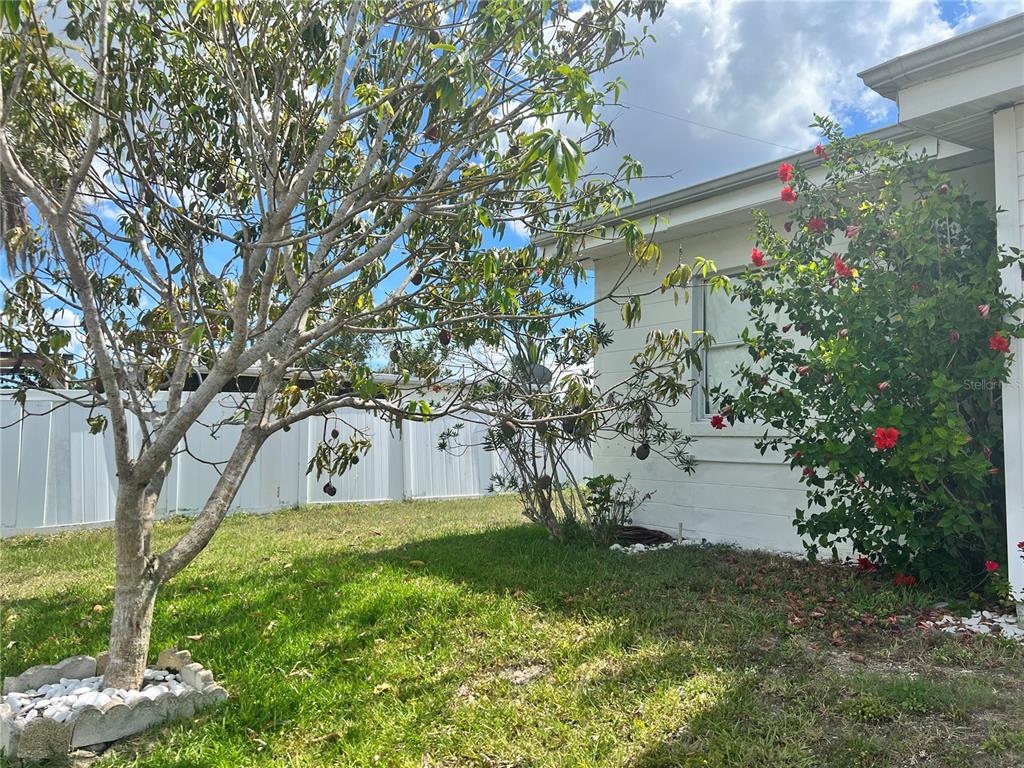 2321 Dallas Street Port Charlotte, FL 33952 - Photo 38 of 38 a view of backyard of house with green space