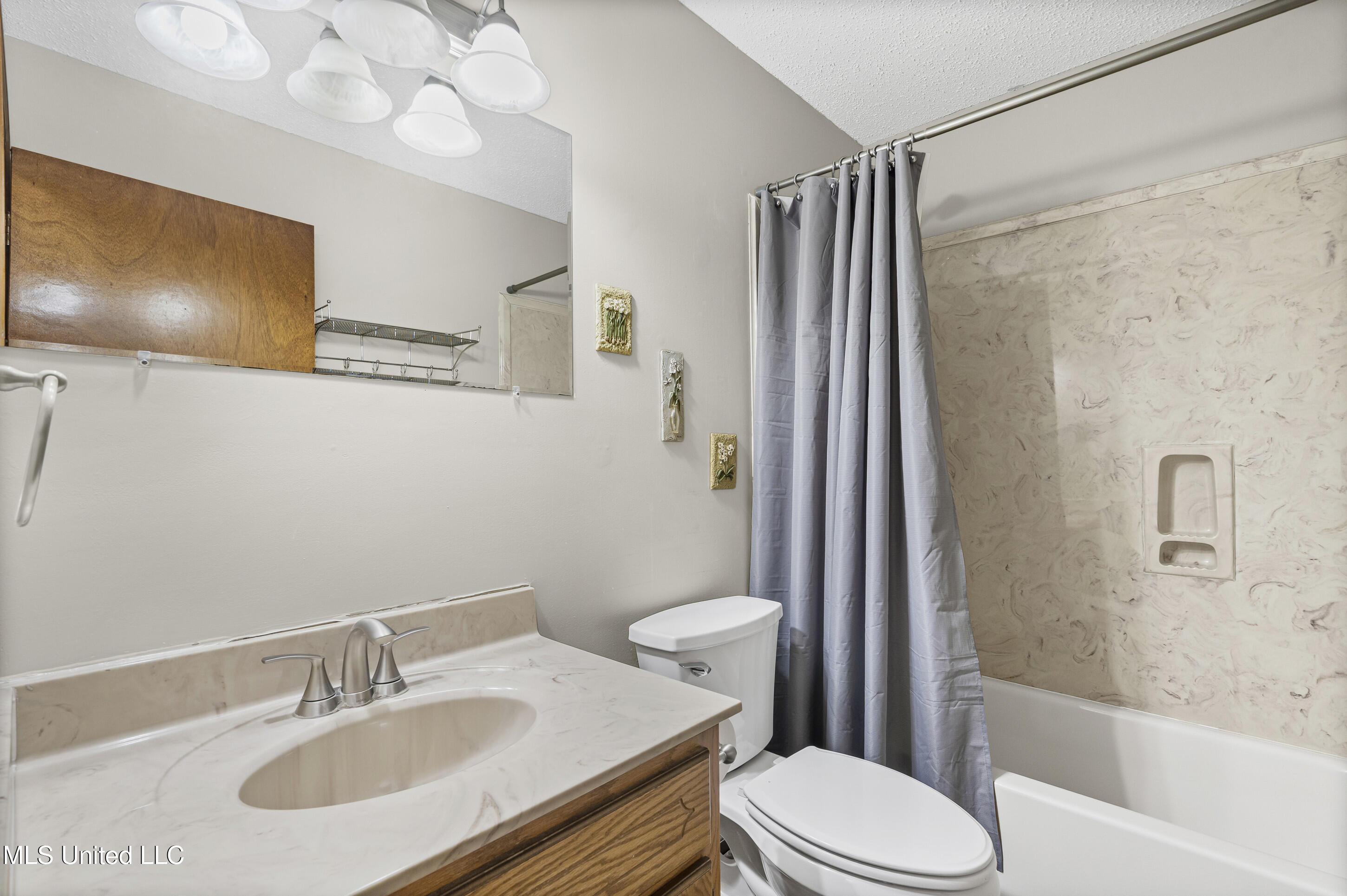 3165 Star Landing Road Nesbit, MS 38651 - Photo 20 of 33 Hall Bathroom