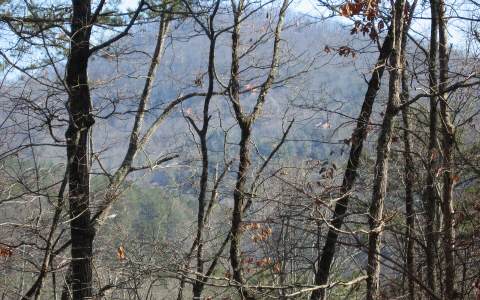 2 Salem Road Mineral Bluff, GA 30559 - Photo 1 of 1 Main View