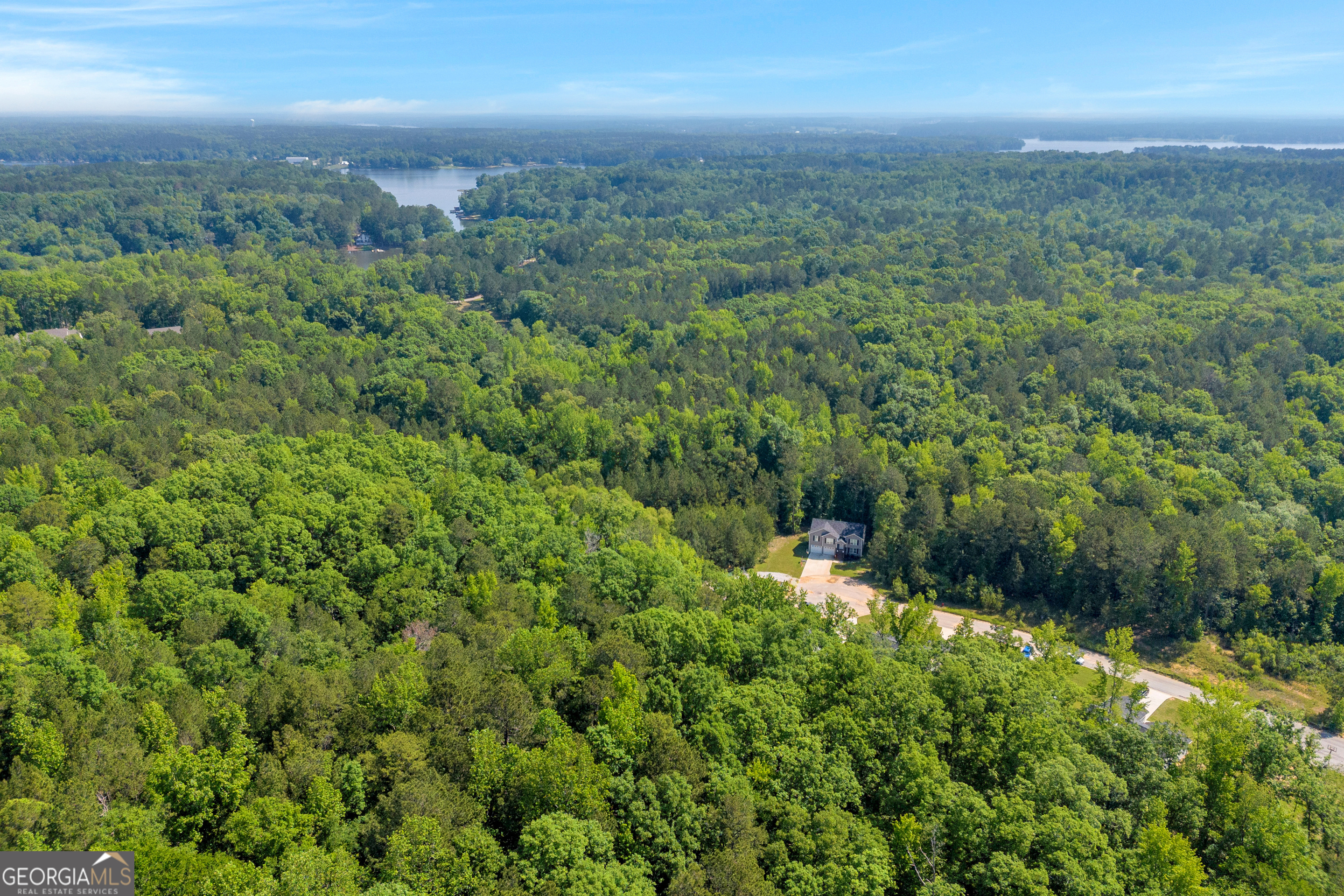 0 Harmony Road, Unit 1 Eatonton, GA 31024 - Photo 11 of 15 a view of a green field with lots of bushes