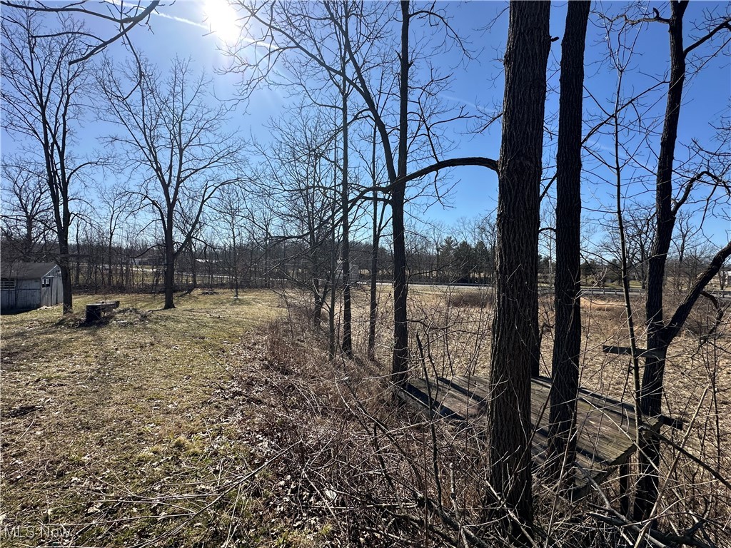 37387 Giles Road Grafton, OH 44044 - Photo 37 of 41 View of landscape