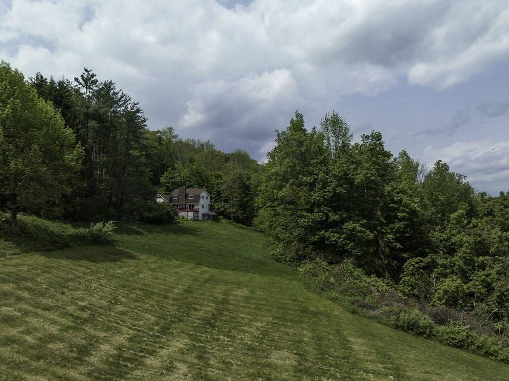 735 North Poland Road Conway, MA 01341 - Photo 33 of 40 a view of a garden with plants and large trees