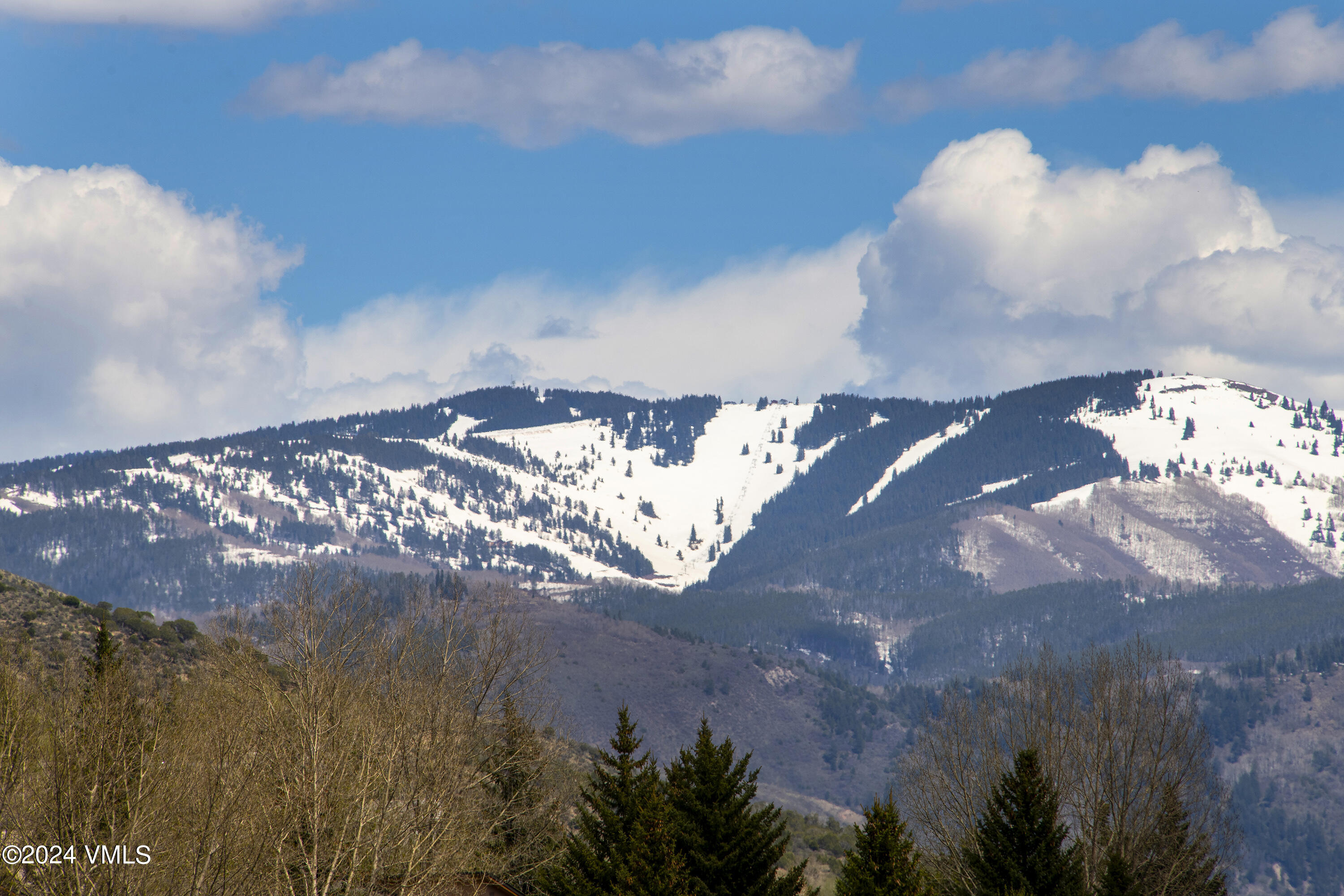 1281 Beard Creek Road Edwards, CO 81632 - Photo 7 of 20 1281-Beard-Crk-MLS_07