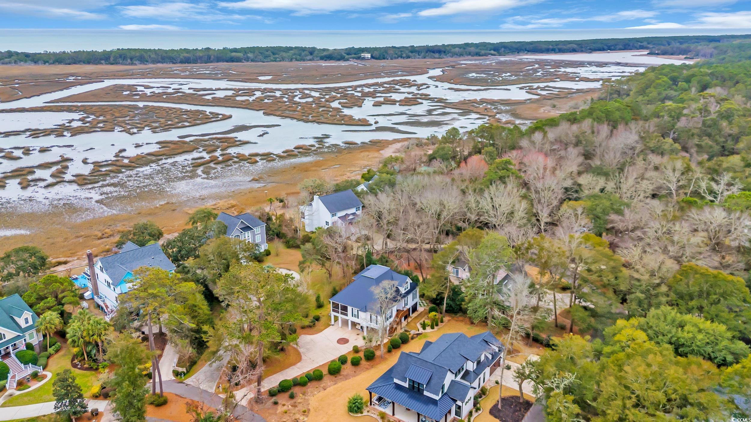 830 Channel Cat Cove Murrells Inlet, SC 29576 - Photo 2 of 40 Birds eye view of property