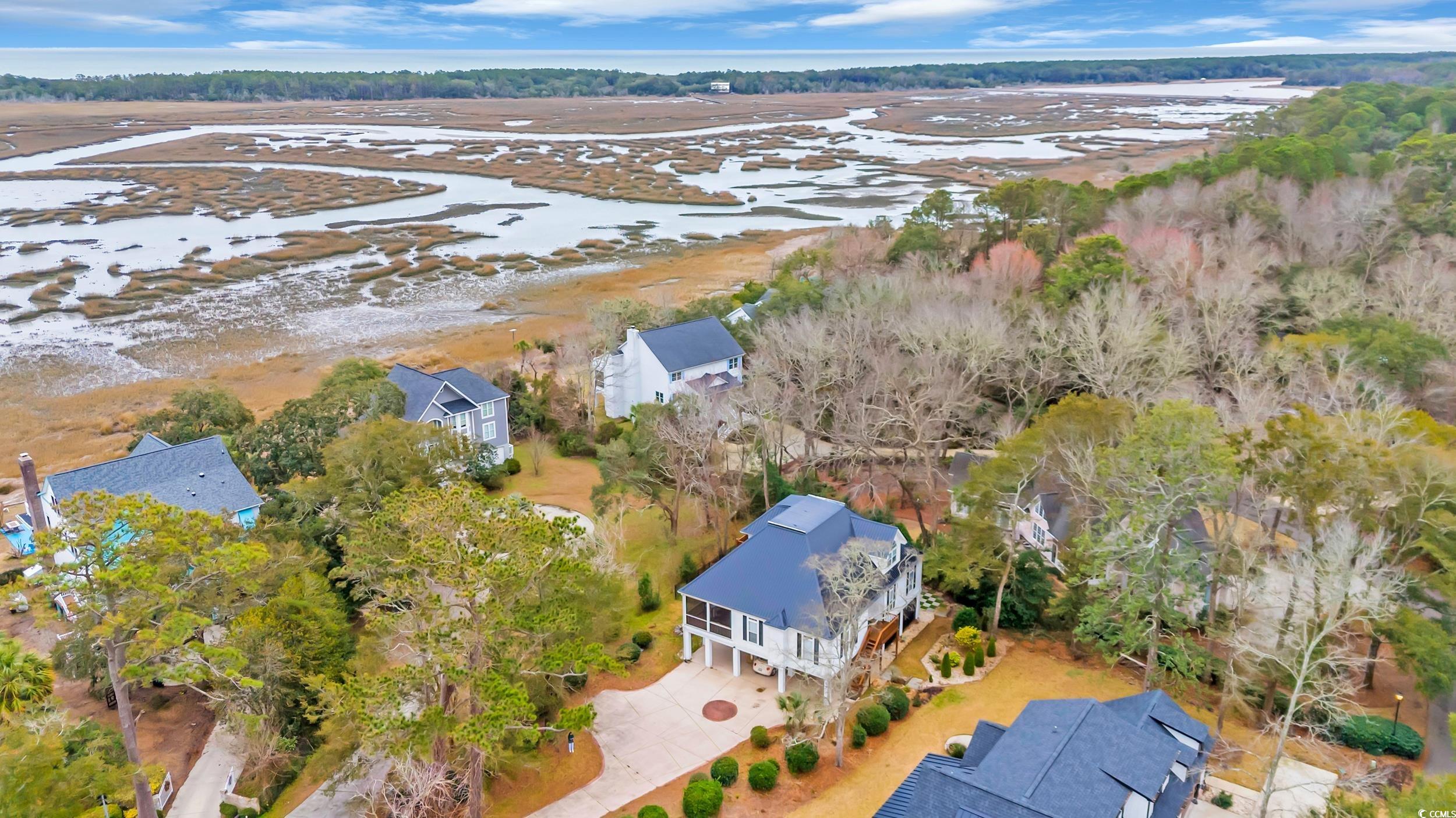 830 Channel Cat Cove Murrells Inlet, SC 29576 - Photo 38 of 40 Birds eye view of property
