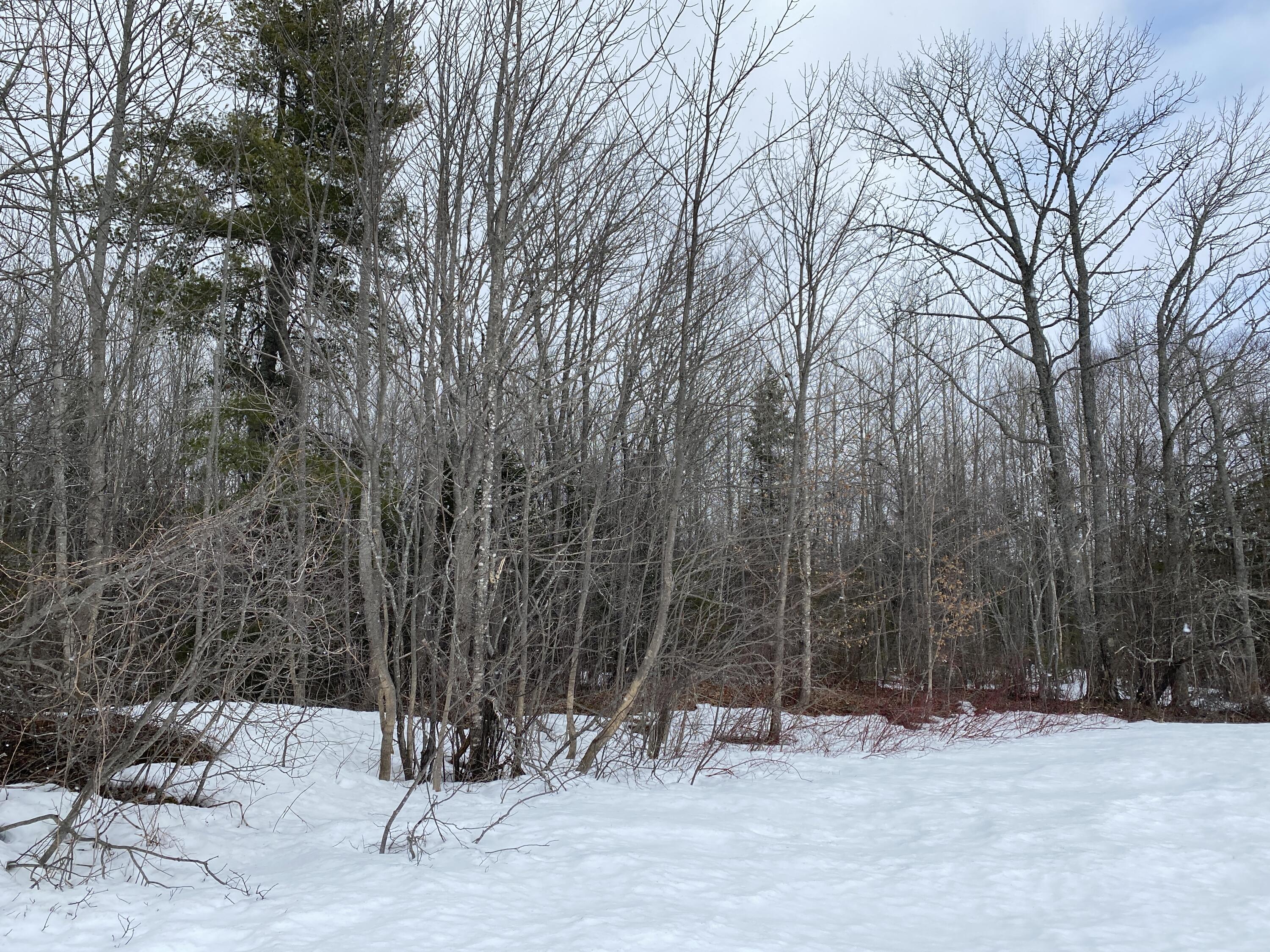 Lot 10 Crystal Brook Road Patten, ME 04765 - Photo 1 of 6 Photo Apr 02, 4 10 16 PM