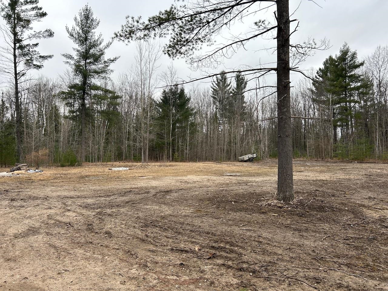 19.2 Acres W M61 Road Gladwin, MI 48624 - Photo 15 of 17
