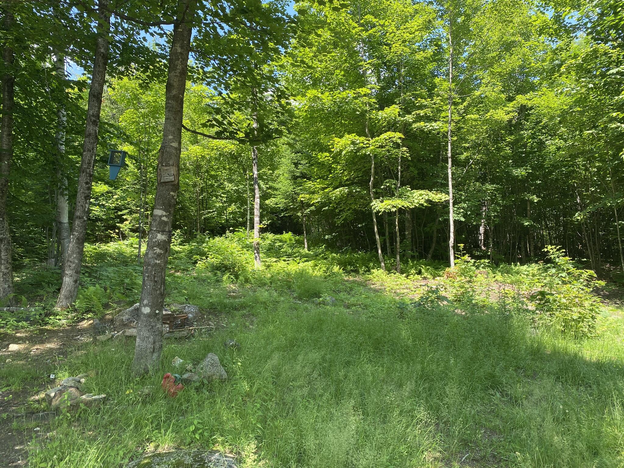 191 Weld Road Phillips, ME 04966 - Photo 17 of 24 Yard