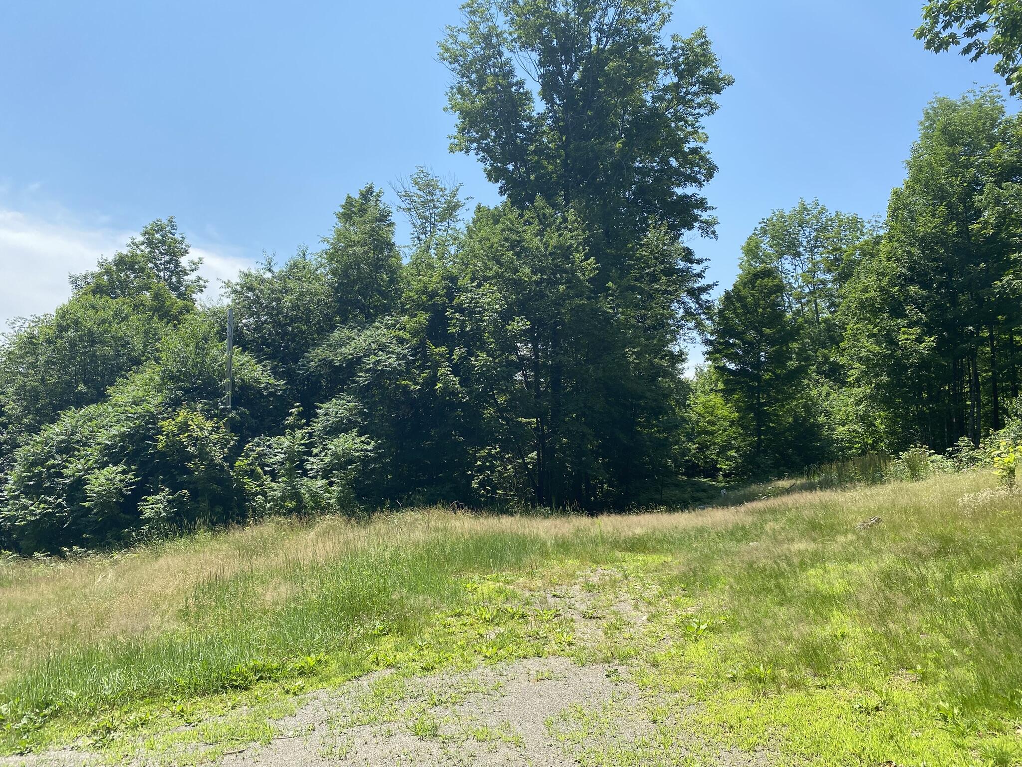 191 Weld Road Phillips, ME 04966 - Photo 23 of 24 Yard