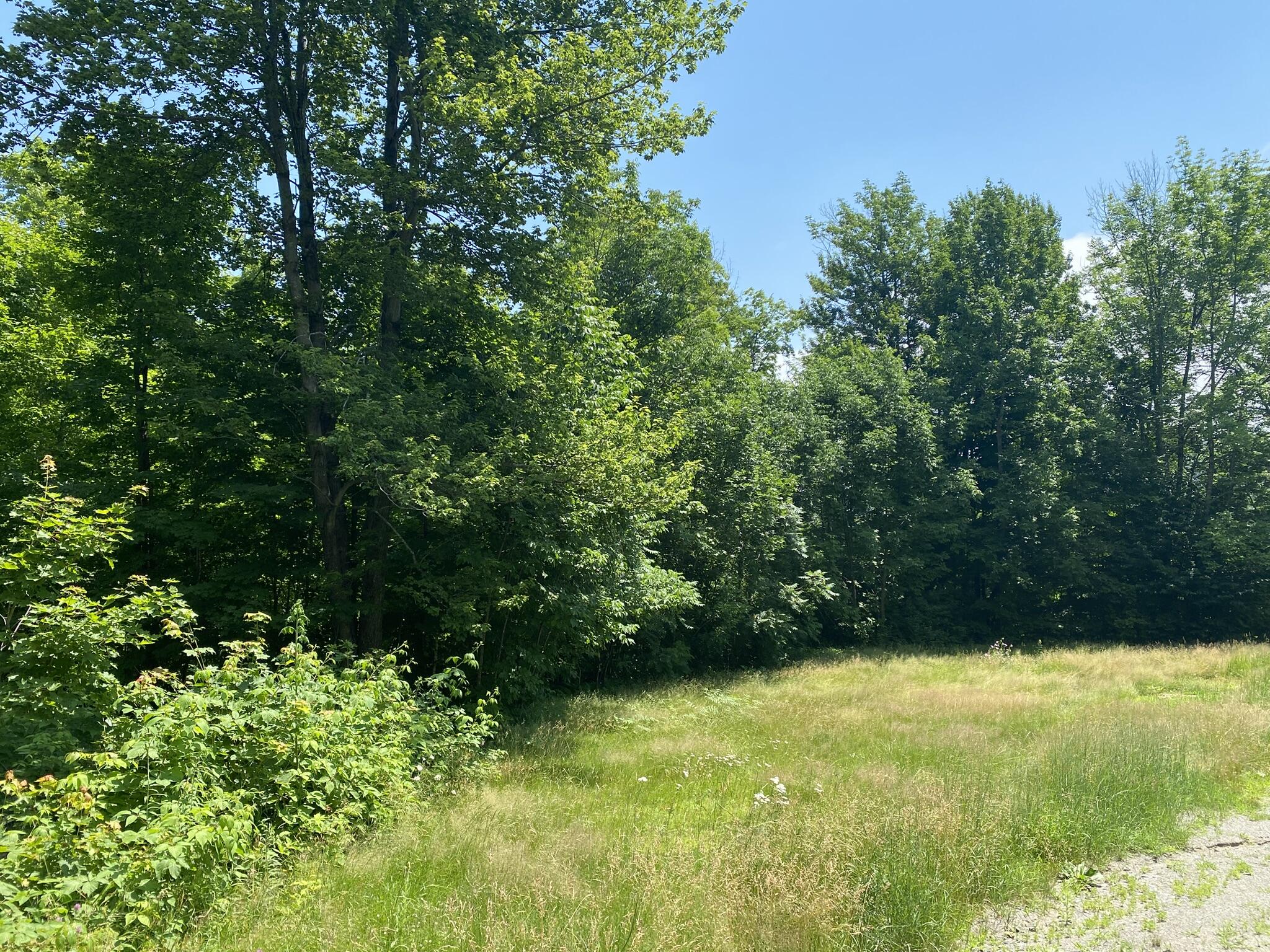 191 Weld Road Phillips, ME 04966 - Photo 24 of 24 Yard