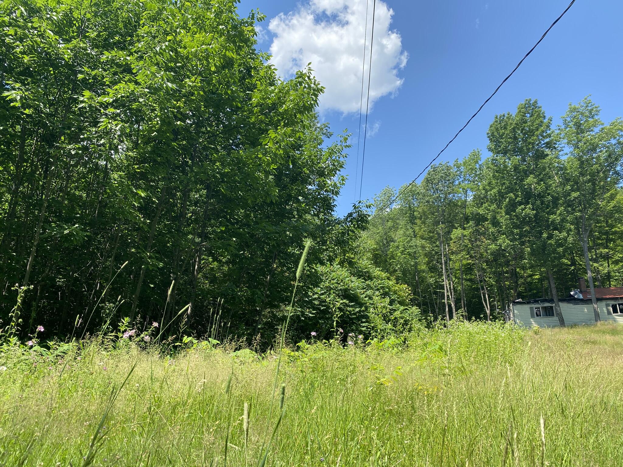 191 Weld Road Phillips, ME 04966 - Photo 6 of 24 Yard