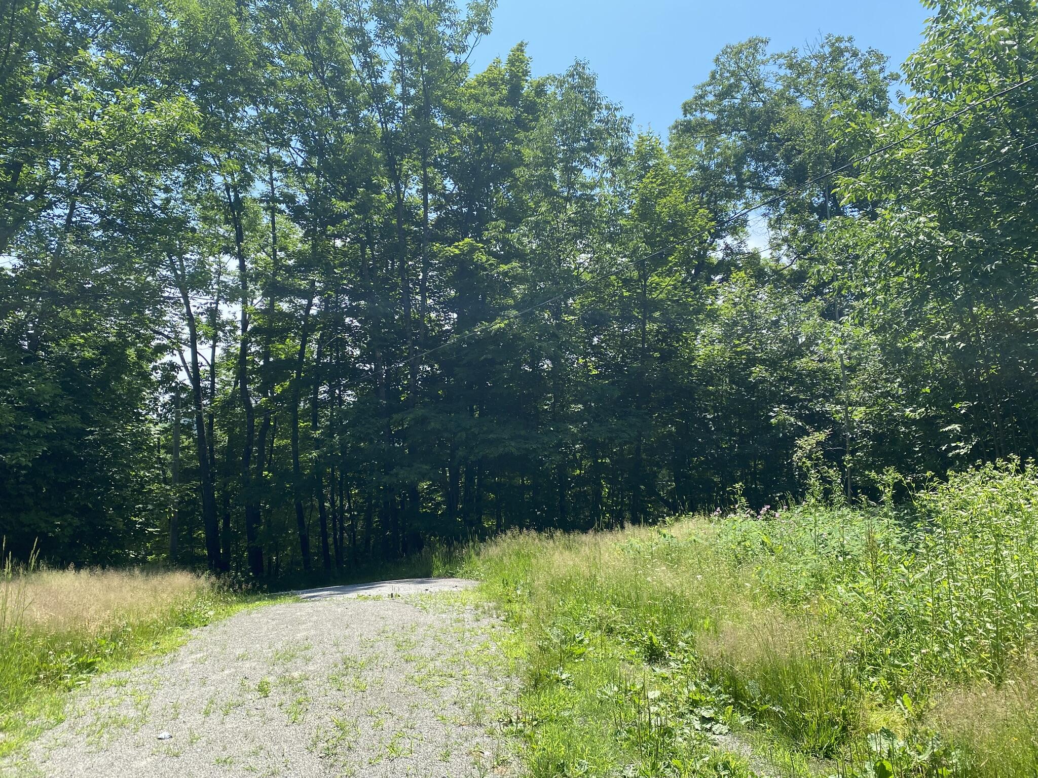 191 Weld Road Phillips, ME 04966 - Photo 8 of 24 Yard and driveway