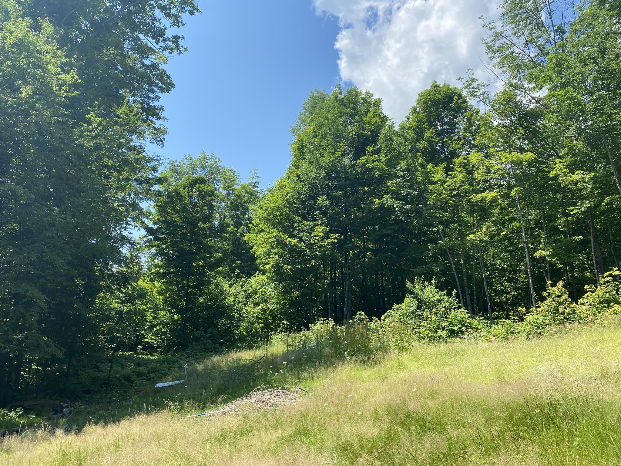 191 Weld Road Phillips, ME 04966 - Photo 10 of 24 Yard