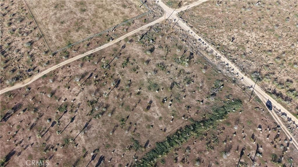 111 Rochester Road Phelan, CA 92371 - Photo 6 of 9 a close up of a field