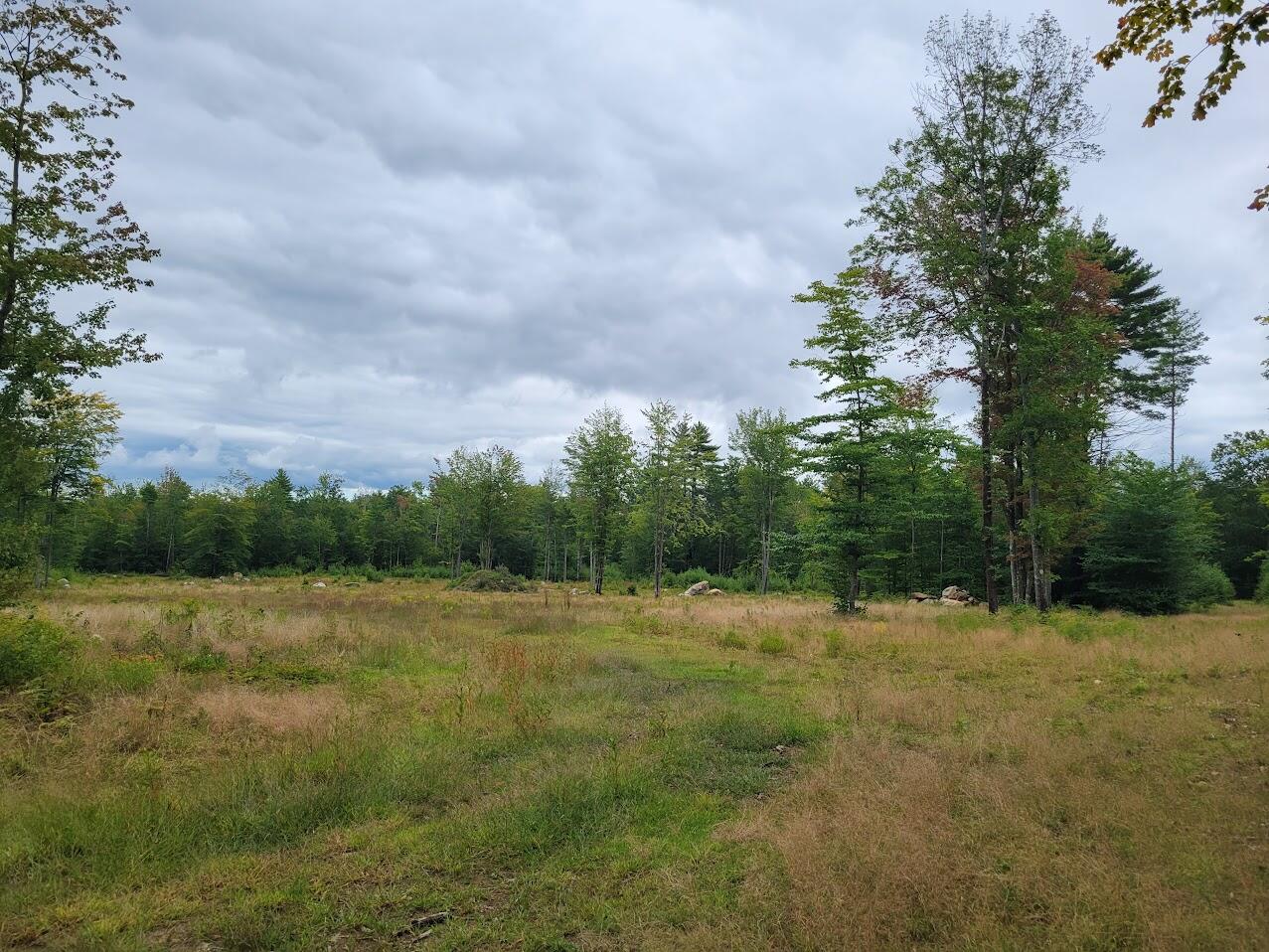 0 Heath Road Lebanon, ME 04027 - Photo 11 of 19 20220907_113436