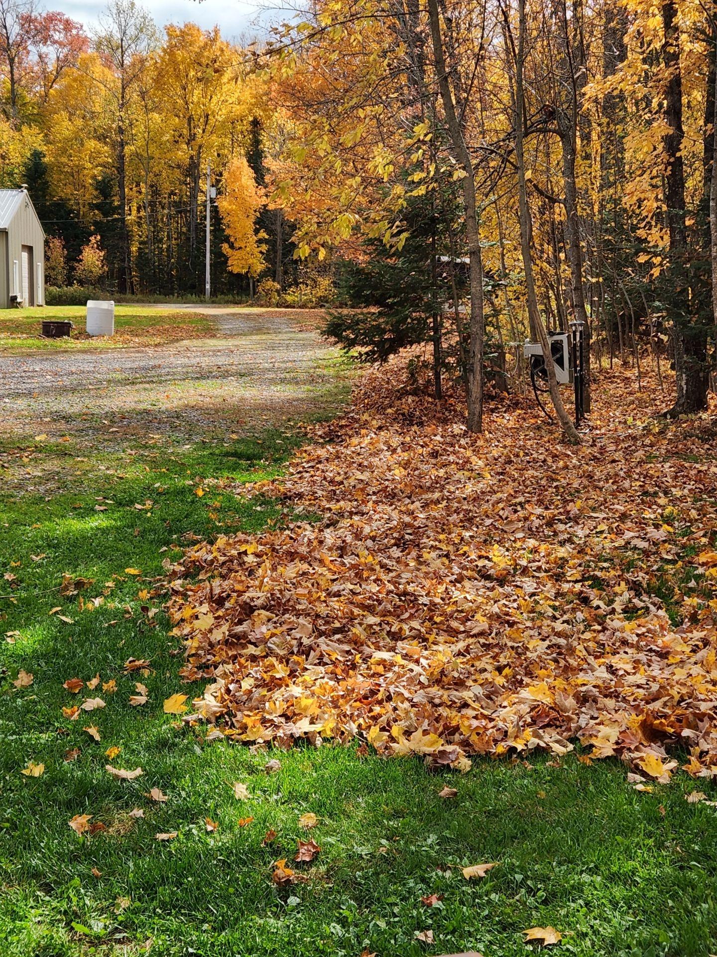 11738 Lily Pad Road Long Lake, WI 54542 - Photo 30 of 34 Gallery Image 30
