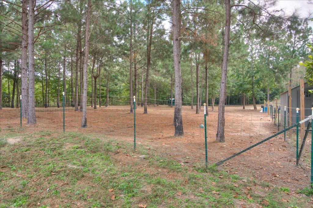 4565 Windsor Spring Road Hephzibah, GA 30815 - Photo 38 of 46
