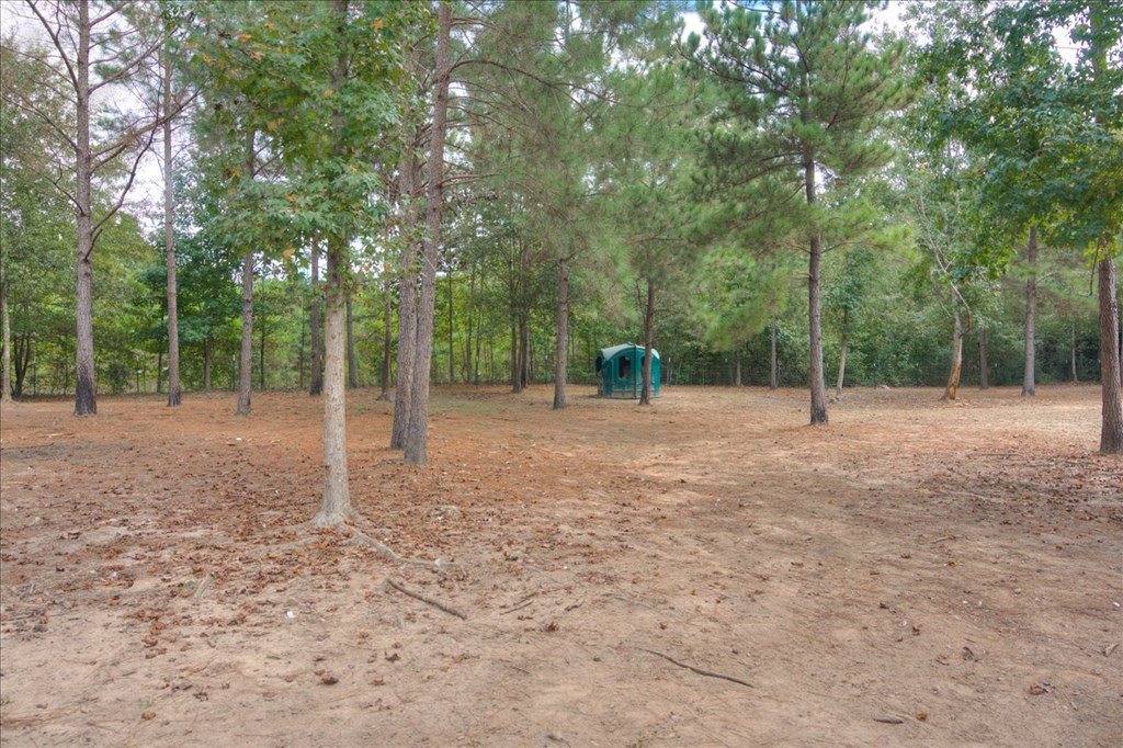4565 Windsor Spring Road Hephzibah, GA 30815 - Photo 40 of 46