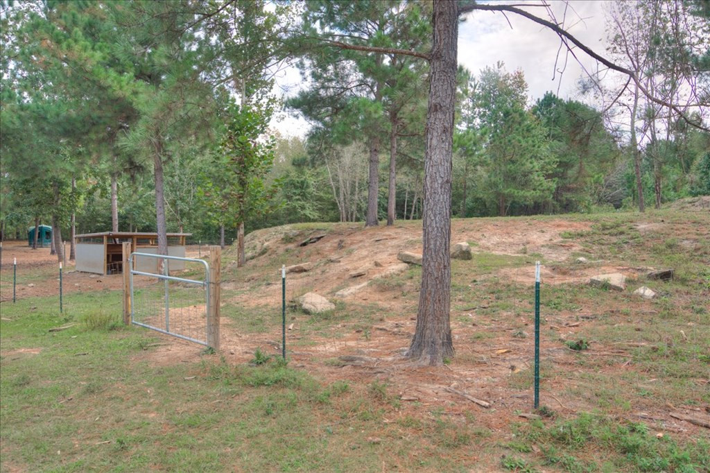 4565 Windsor Spring Road Hephzibah, GA 30815 - Photo 41 of 46