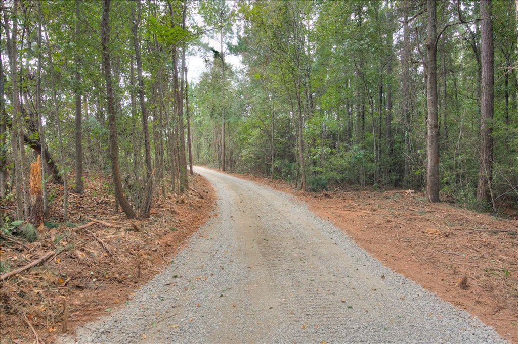 4565 Windsor Spring Road Hephzibah, GA 30815 - Photo 46 of 46