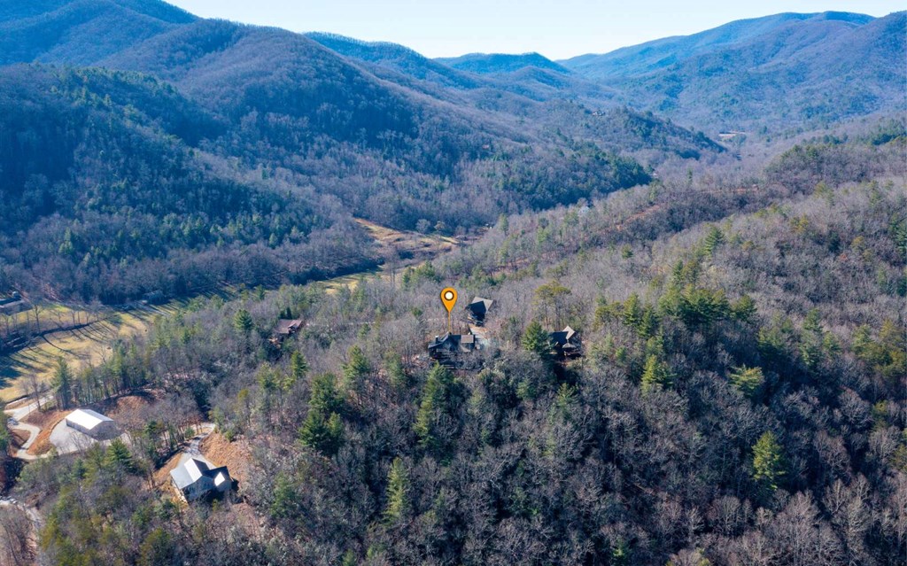 1248 Spaniard Point Road Hiawassee, GA 30546 - Photo 4 of 65