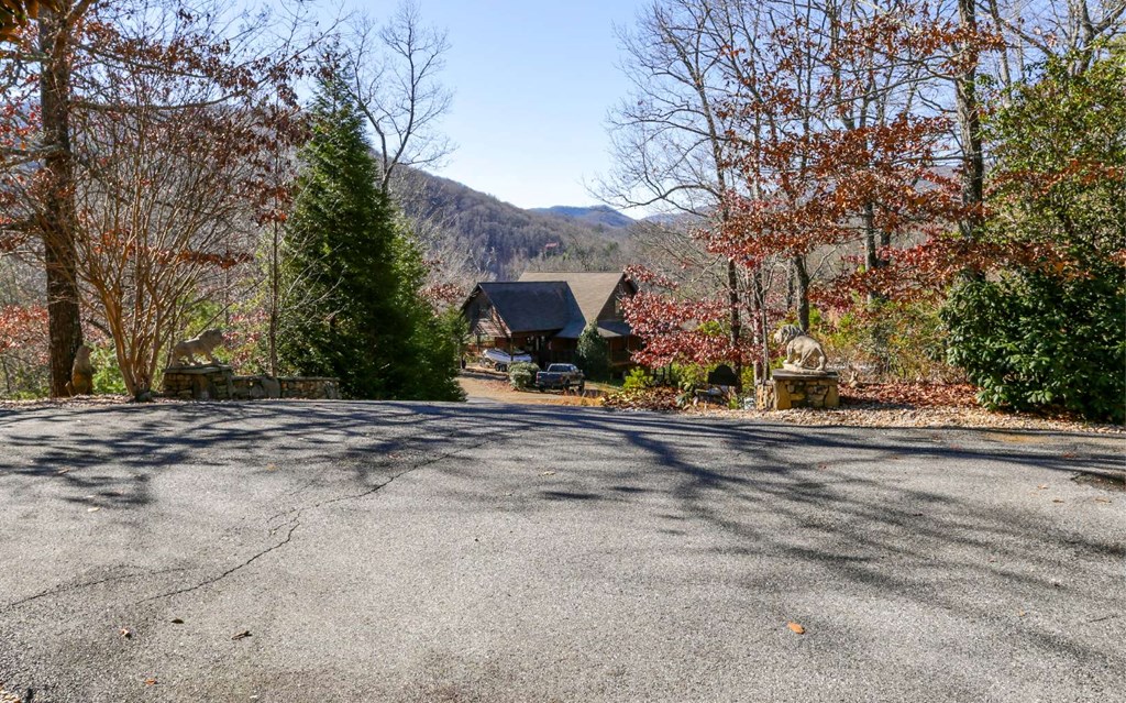 1248 Spaniard Point Road Hiawassee, GA 30546 - Photo 48 of 65