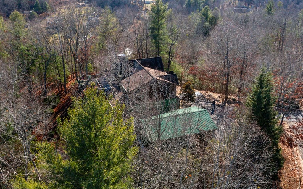 1248 Spaniard Point Road Hiawassee, GA 30546 - Photo 50 of 65