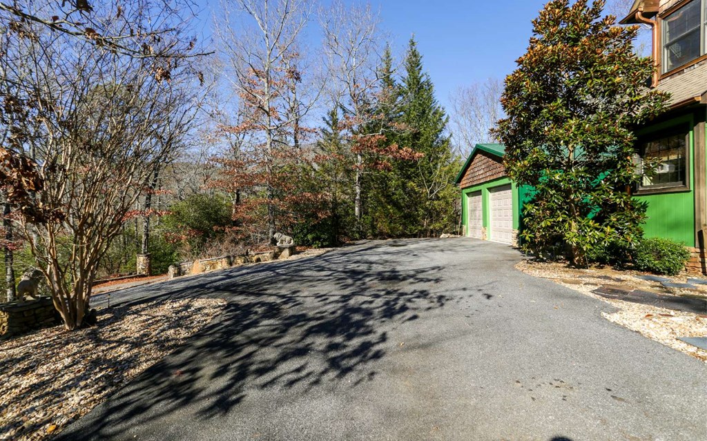 1248 Spaniard Point Road Hiawassee, GA 30546 - Photo 52 of 65
