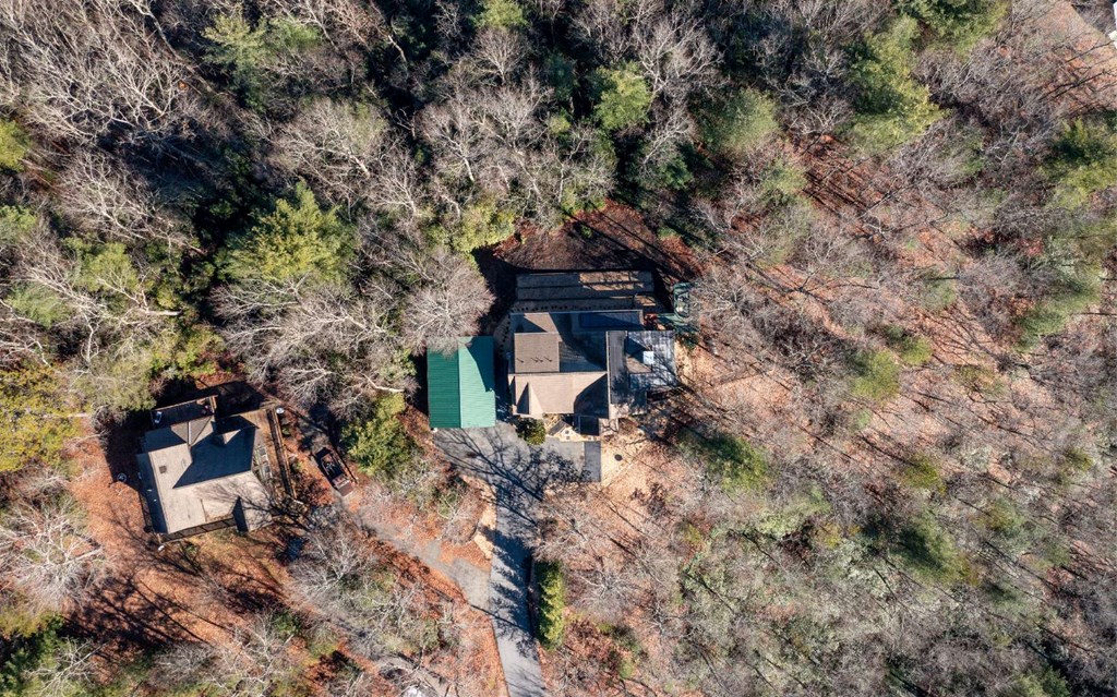 1248 Spaniard Point Road Hiawassee, GA 30546 - Photo 59 of 65
