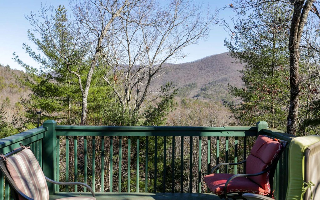 1248 Spaniard Point Road Hiawassee, GA 30546 - Photo 62 of 65