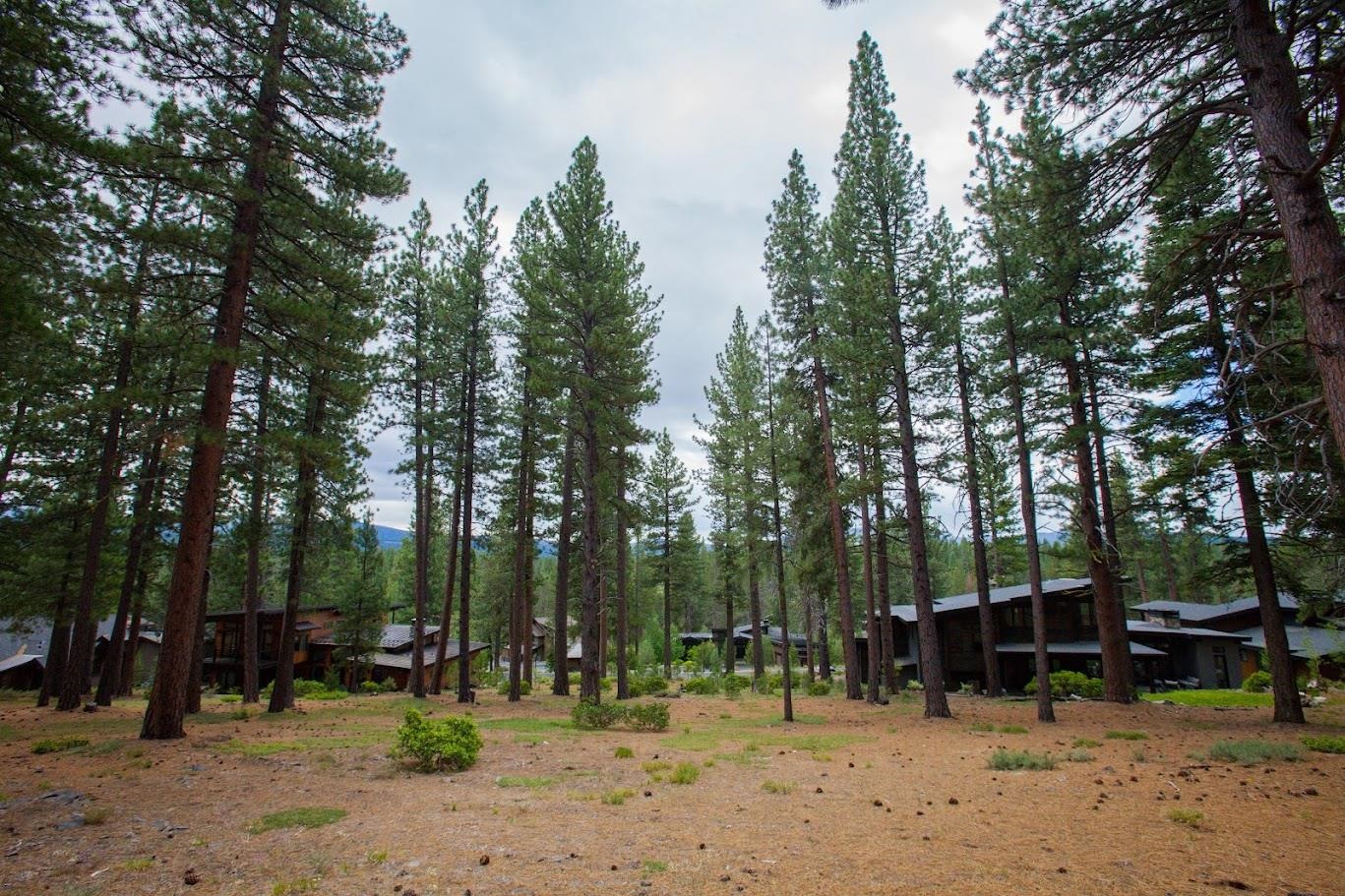 11360 Ghirard Road Truckee, CA 96161 - Photo 4 of 8